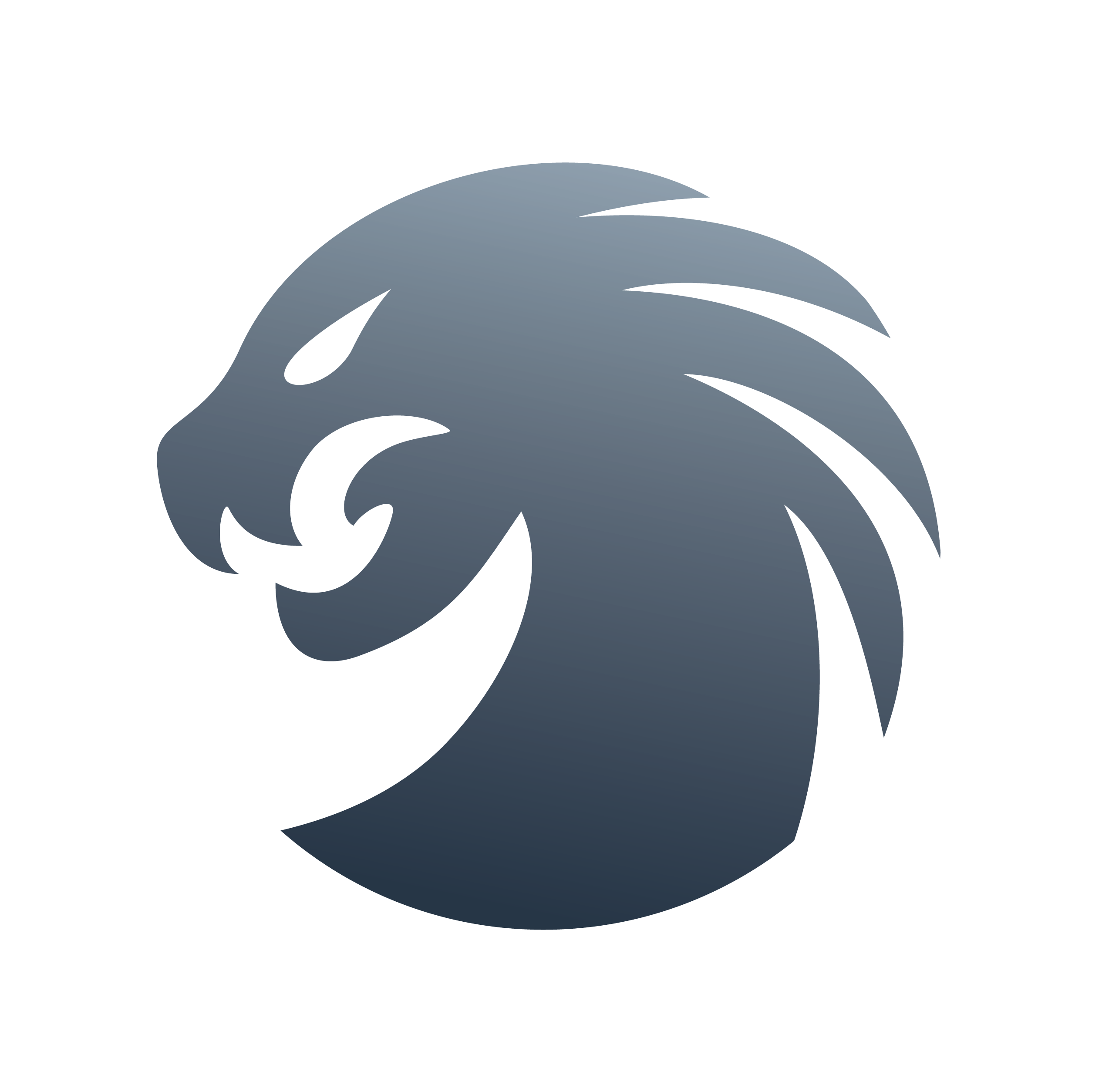 Hydra Tool Rent (Without Dongle) [ 24 hours ]